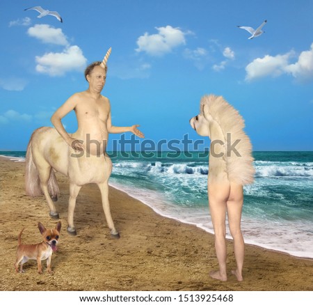 The centaur unicorn meets the strange horse on the beach of the sea. His dog is next to him.