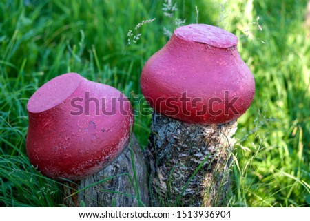 Red-painted cast-iron pots on a sawn Apple tree on a background of green grass in summer