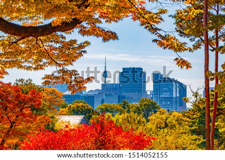 Autumn in Seoul city of South Korea