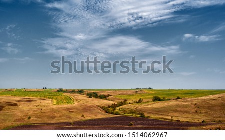 Landscape of central Russia agricultural countryside with hills. Summer landscape of the Samara valleys. Russian countryside. High resolution file for large format printing.