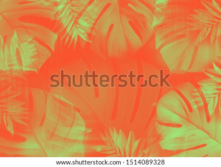 Tropical background with green Monstera leaves on a coral red background top view