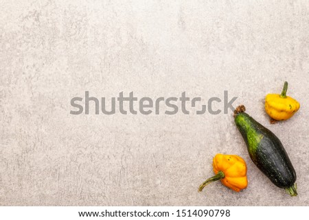 Trendy ugly organic vegetables. Fresh pumpkin and zucchini. Cooking ugly food concept. Stone concrete background, copy space, top view