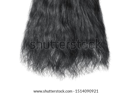 Long damaged straight black hair isolated on white background