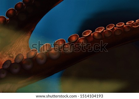 Tentacles of octopus close-up picture