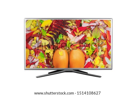 mock up 4K UHD TV with colorful autumn leaves and orange rubber boots on screen isolated on white background