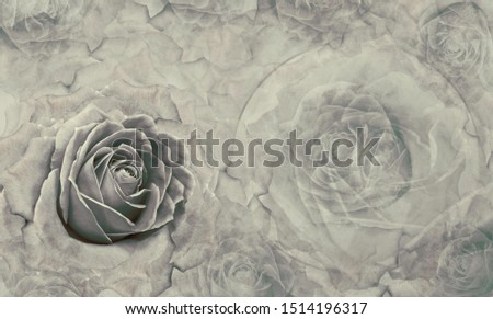 Floral gray background. Flowers and rose petals. Flower composition. Nature.