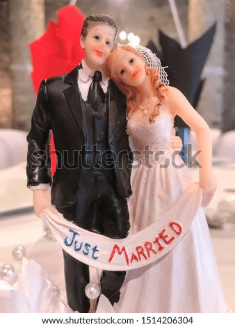 image of the doll bride and groom stand for one couple just married in the wedding party ceremony. 