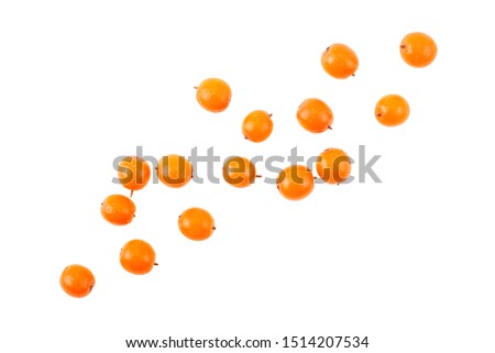 Sea buckthorn berries isolated on a white background, top view. Hippophae rhamnoides. Royalty-Free Stock Photo #1514207534
