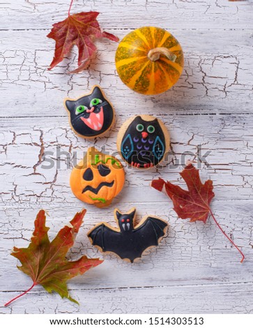 Halloween cookies in shape of bat, pumpkin, owl and cat