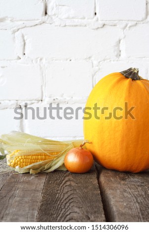 Autumn pumpkins and other vegetables on wooden thanksgiving table, white brick backdrop, selective focus