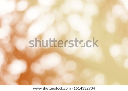 Natural bokeh on a blurred background of Orange and white Bright colors at bokeh