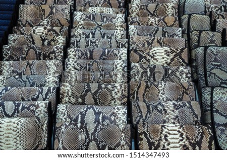 Wallet made of python leather, snake skin pattern