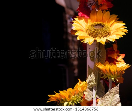 Sunflower decoration for autumn or fall in bright sunlight