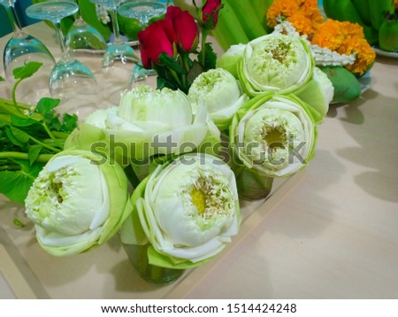 Lotus flowers for paying respect to monks on holy day