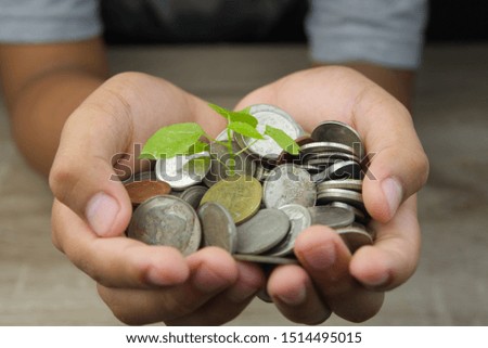 growth plant on money coins in hand.concept for .Insurance money savings, retirement planning ,travel and investment ideas, passive income.education plan.