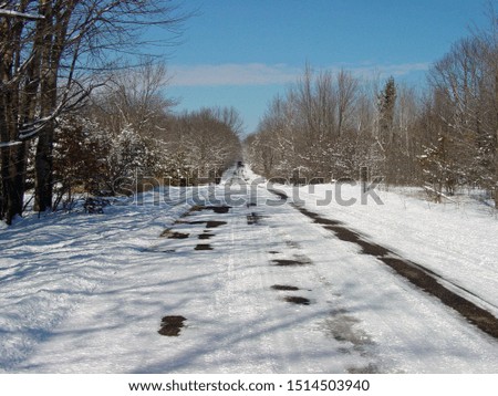 A snow covered road in the woods in winter