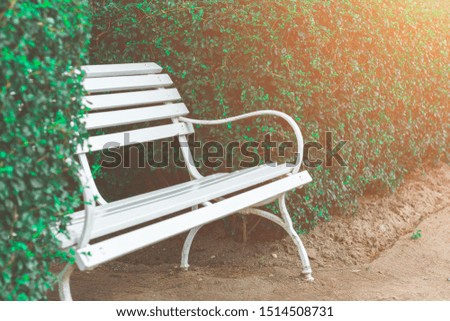 White bench between green bush in the garden with orange sunlight. Copy space wallpaper.