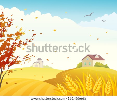 Vector illustration of a beautiful fall farm scene with golden cornfields and red branches