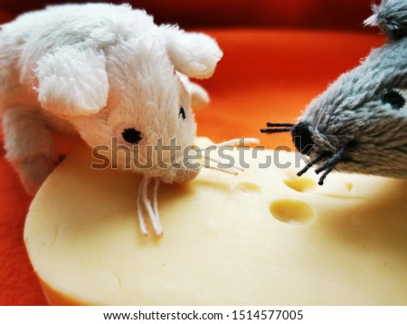 Cute, funny White and gray mouse with a piece of cheese on bright background. Close-up photo of the animal-symbol of new 2020 year
