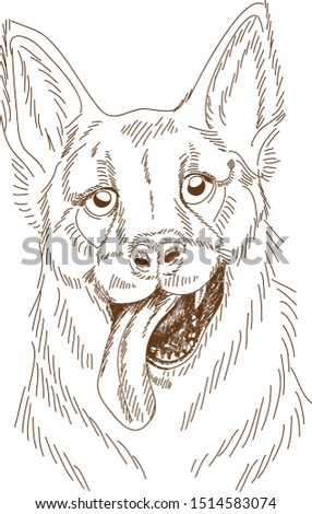 engraving drawing vektor of dog