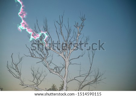 a lightning strikes into the tree in desert during the severe rain and hurricane