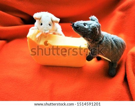 Cute, funny White and gray mouse with a piece of cheese. Close-up photo of the animal-symbol of new 2020 year
