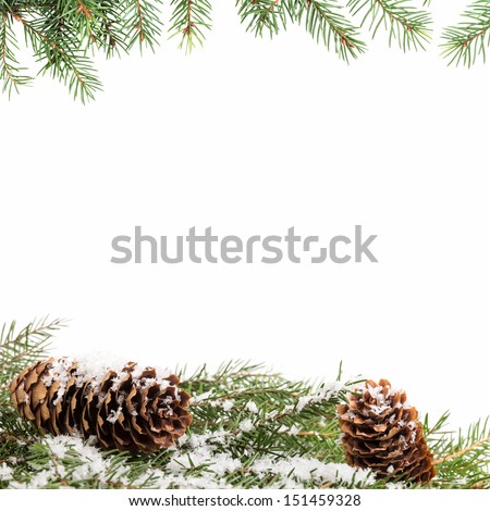 christmas ornament background with fir branches, white background