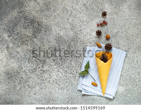 Bumps, acorns and berries in the waffle cone on the gray cement background. Tap view. Copy space