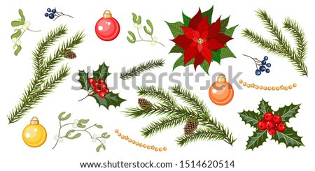 Set with fir tree branches, holly berries, mistletoe, poinsettia flower and balls isolated on white background. Christmas decoration set. Vector illustration.