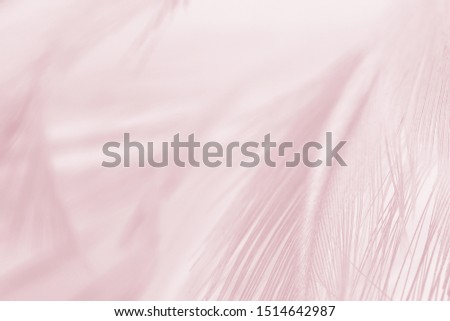 Beautiful violet - mauve mist colors tone feather texture background, trends color