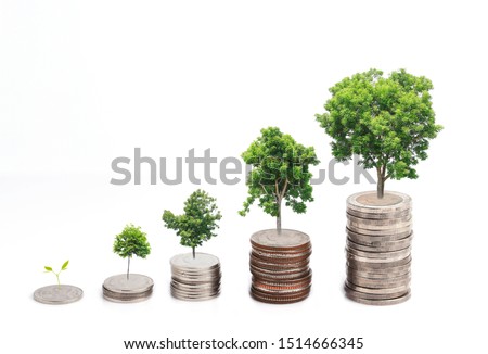 Trees of different sizes that grow on piles of coins respectively to reflect the value of the tree. According to its size Isolated on white background. Nature conservation concept.