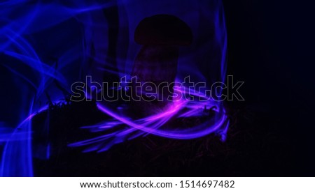 Neon magic mushroom in forest on moss. Psychedelic effects of night fairy forest. Mysterious mushrooms in neon lights
