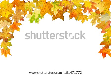 Maple autumn leaves falling border, on white background.