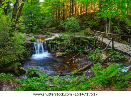 The path of Bila Opava (White Opavia) to the top of mountain Praded in Jeseniky mountains. The stream with many waterfalls heading throughout beautiful forest.
