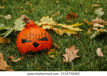 Halloween pumpkin on green glass with foliage. Scary face pumpkin in outdoor. Cute pumpkin. Fall color, orange and yellow. Autumn season. Nature leaves background. Happy Halloween holiday in October