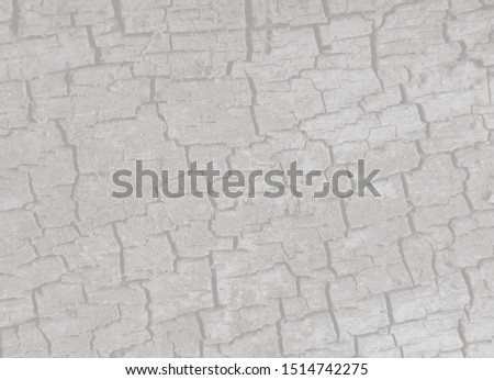 Natural textured old wooden grunge wooden background.Image in light  tonality