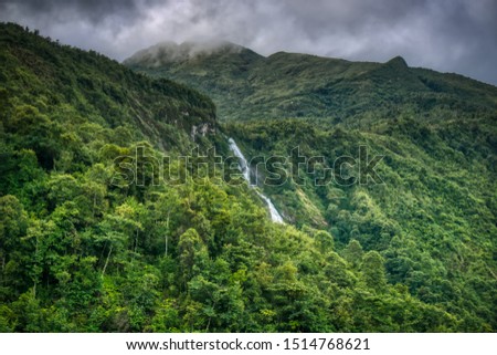 The waterfall and forest on mountain.