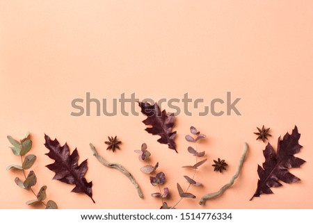 Creative autumn fall thanksgiving day composition with decorative dried leaves. Flat lay, top view, copy space, still life pastel background for greeting card