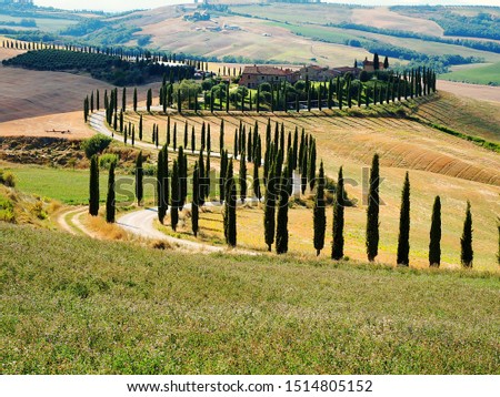 Tuscany, landscape of the Crete Senesi with cypresses along the road that leads to the farm in the background Royalty-Free Stock Photo #1514805152