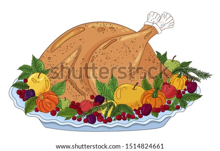 Thanksgiving turkey roasted. Baked turkey isolated on white background. Traditional Thanksgiving food hand drawn illustration. Baked turkey, classic thanksgiving eating, pumpkin, apple, cranberry.
