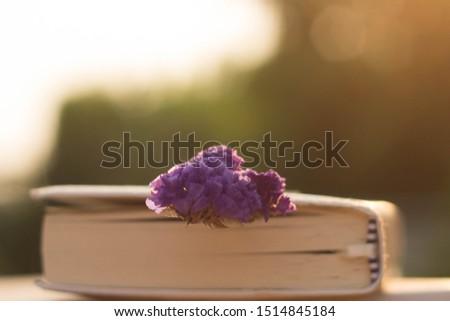 Flowers placed on books with a tree backgrouromanticism, decor, greeting, holiday, bouquet, memo, photos, scrapbook .Flowers on books.