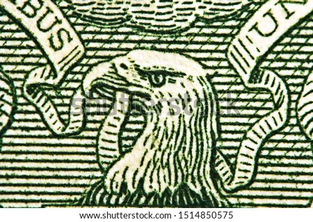 American eagle with one dollar bill at maximum magnification. 1 one Dollar USA,  eagle. Concept for success, business, dominance, strategy.