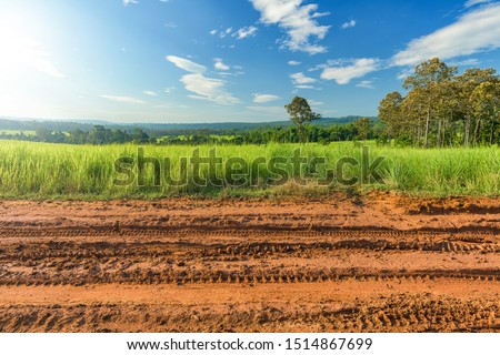 Dirt roadside view with the meadow Royalty-Free Stock Photo #1514867699