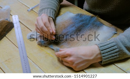 Professional male skinner, furrier working with mink fur skin at atelier, workshop. Fashion and leatherwork concept