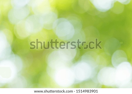 green bokeh nature abstract background