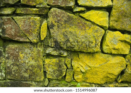 Stone background, wall texture covered with moss