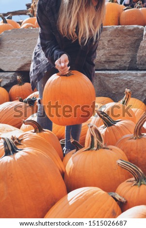 Young teenage girl picking pumpkins at a farm