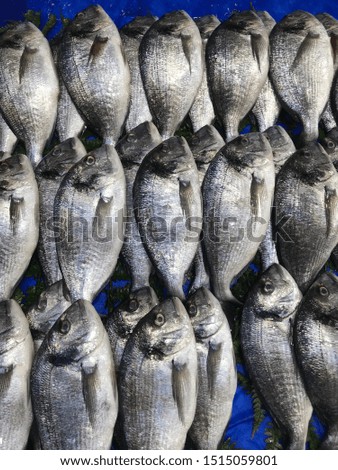 Fresh sea fish on display at a fish market