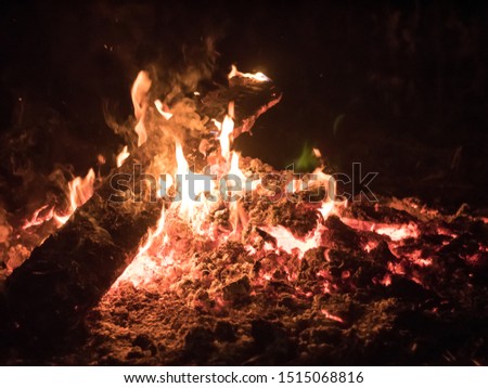 bonfire and hot coals close up