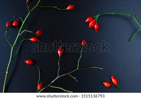 Still life with berries and pumpkin on black background